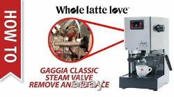 Gaggia Milano Ri9303/47 Classic Pro Espresso Machin